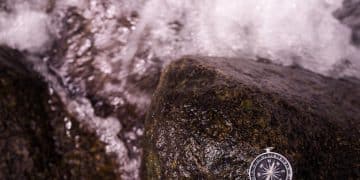 Navigating Market Volatility: Your 2025 Financial Plan - Cover Image